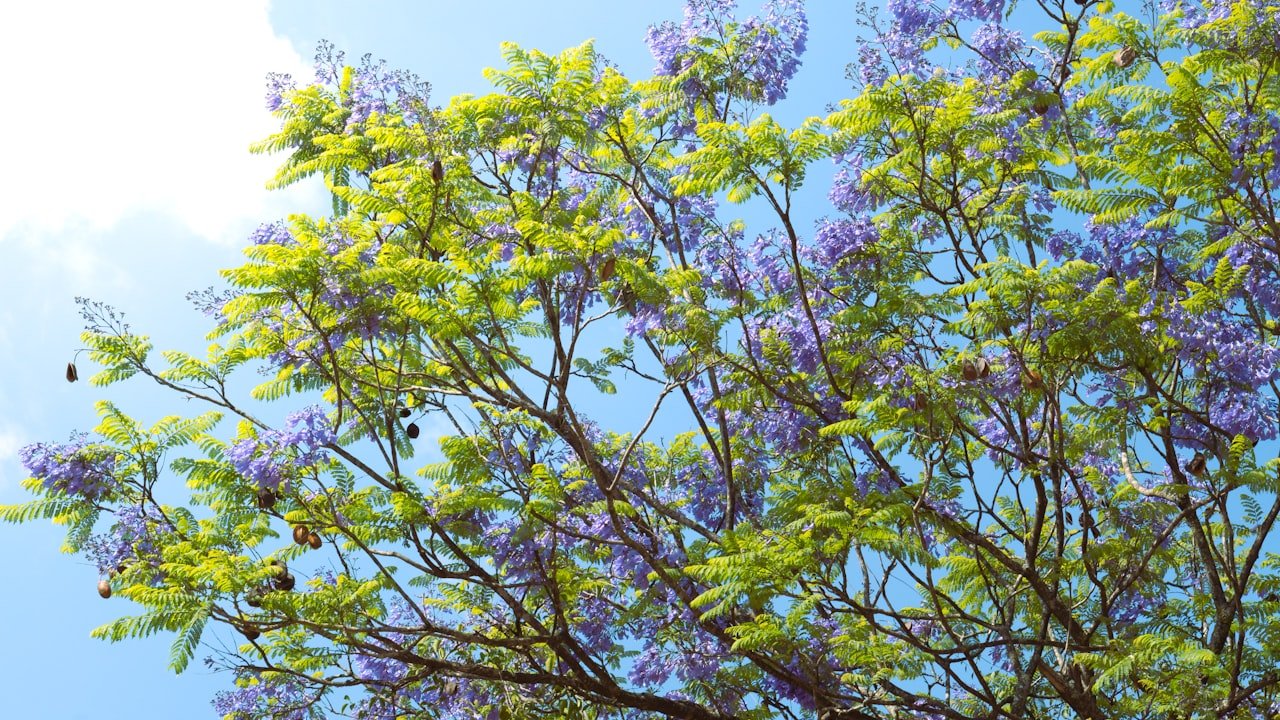 Why Should You Use WayKen CNC Milling Services For Manufacturing Parts