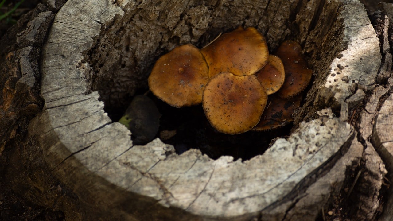 Enlisting the Factors to Improve Quality of Forging