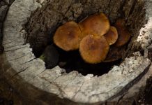 Enlisting the Factors to Improve Quality of Forging