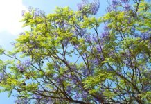 Why Should You Use WayKen CNC Milling Services For Manufacturing Parts